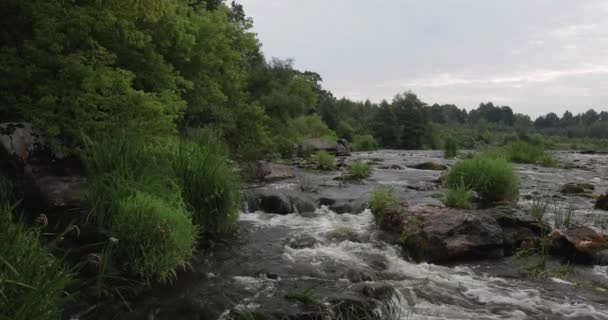 Paysage Vue Sur Rivière Forêt Écoulement Rapide — Video