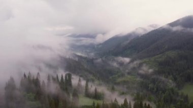 Karpatlar 'ın sisli dağlarına bak