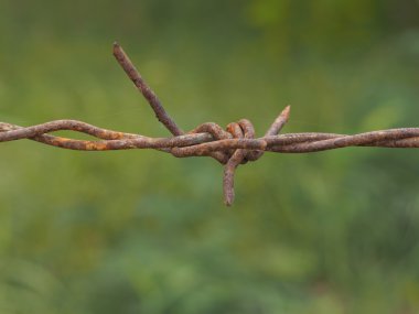 Çit Bahçe ızgara eski pas