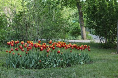 dağlarda taş ocağı