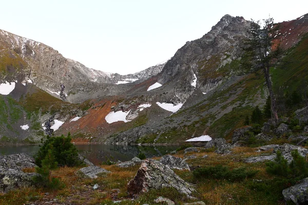 Summer in the mountains — Stock Photo, Image