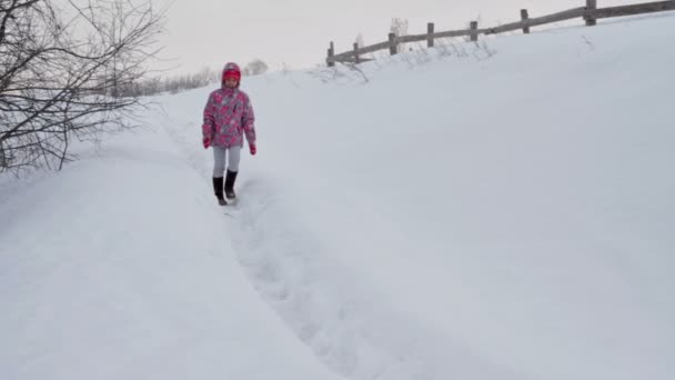 Cheerful girl child in the park in winter — Stock Video