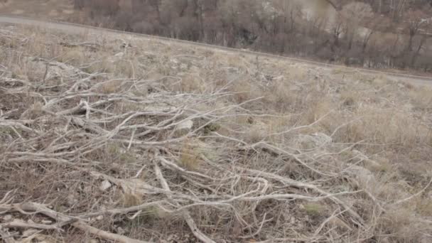 Вид з вершини гори на шосе — стокове відео