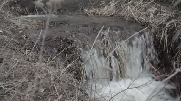 Gebirgsfluss Wasserfall im Frühling — Stockvideo