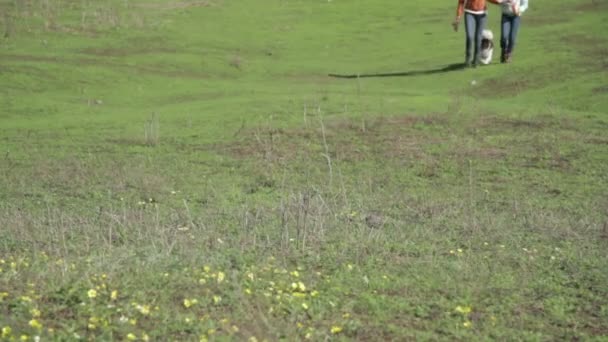 Chicas con un perro paseando por la naturaleza — Vídeo de stock