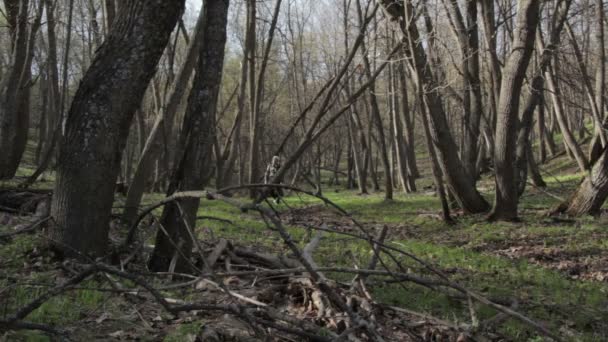 Un homme qui court les montagnes — Video