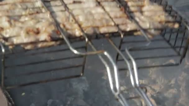 Barbecue-Grill mięsa — Wideo stockowe
