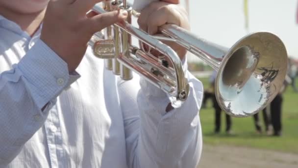 Músicos tocando instrumentos de viento — Vídeos de Stock