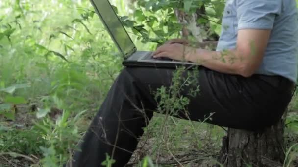 Man working remotely with laptop on the nature — Stock Video