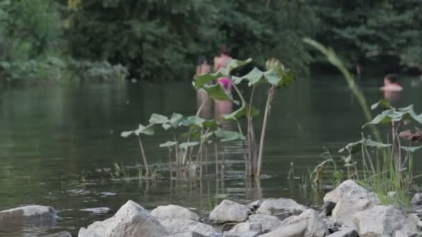 La gente se baña en el río. — Vídeo de stock