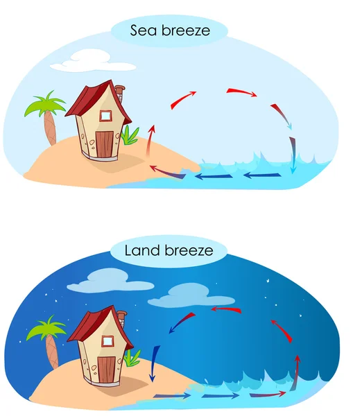 Vector illustratiion of a sea breeze and land breeze — Stock Vector