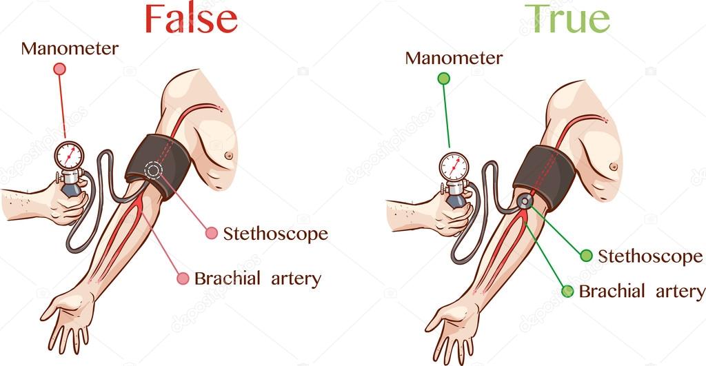stethoscope placement for blood pressure digitalartillustrationplaces