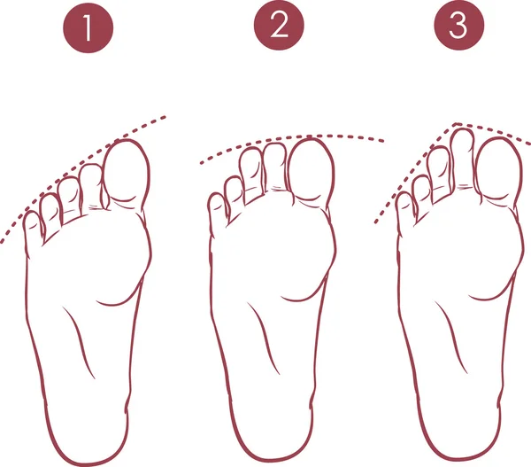 Vektor ilustrasi dari Bentuk jari-jari kaki - Stok Vektor