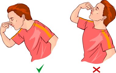 Beyin anatomisi diyagramı farklı renklerde kesitli ve adlandırılmış