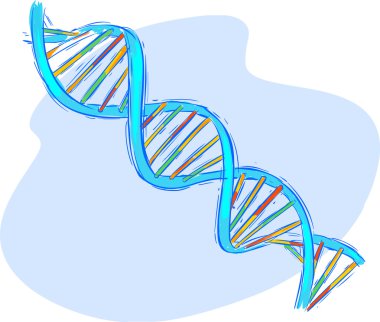 Bir DNA 'nın vektör illüstrasyonu