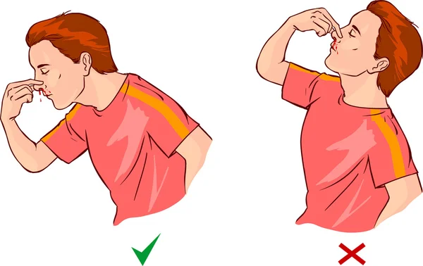 Beyin anatomisi diyagramı farklı renklerde kesitli ve adlandırılmış