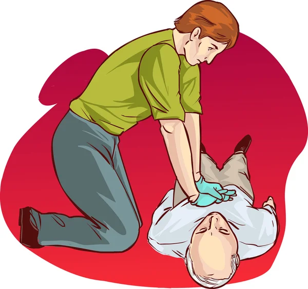 Beyin anatomisi diyagramı farklı renklerde kesitli ve adlandırılmış
