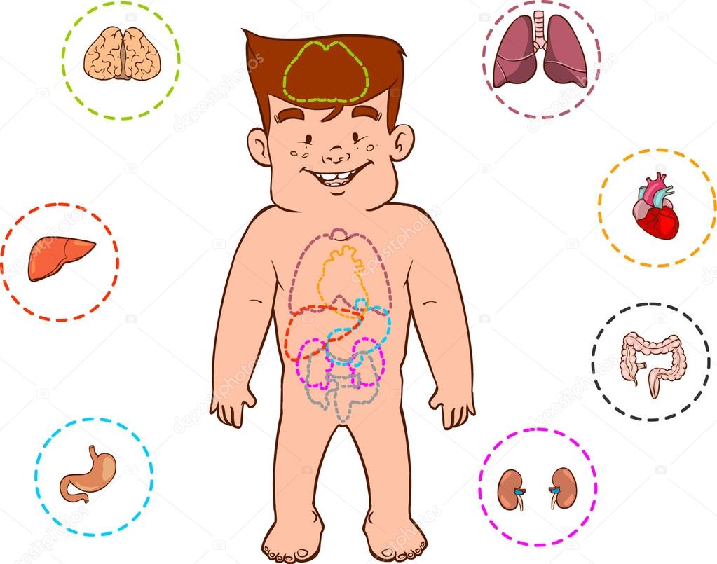 children's digestive system