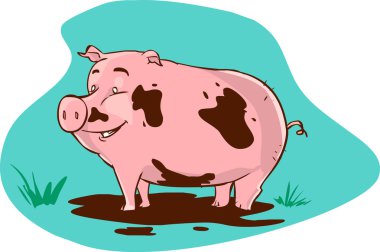vector illustration of a muddy pig clipart