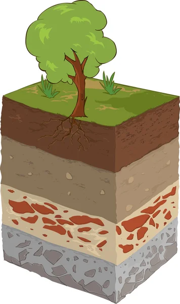 Illustrazione vettoriale di uno strato di terreno — Vettoriale Stock