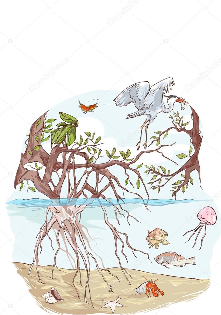 vector illustration of a Marine Ecosystem