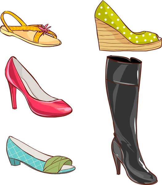 Vector illustration of a women's shoes — Stock Vector