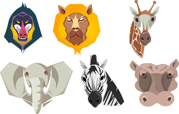 Conjunto de desenhos animados animais selvagens africanos —  Vetores de Stock