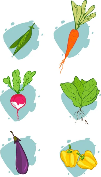 Ilustracja warzywa wektor — Wektor stockowy