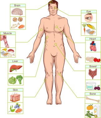 Sağlıklı yaşam ve beslenme concep vektör çizimi