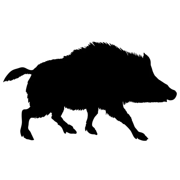 Wildschweinsilhouette schwarz wild — Stockvektor