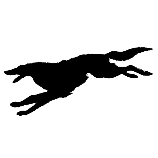 Greyhound hond silhouet — Stockvector