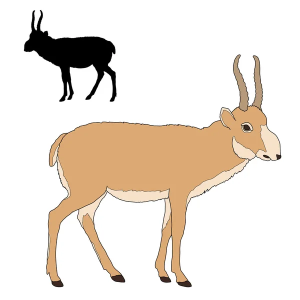 Силуэт антилопы реалистичный цвет сайги — стоковый вектор