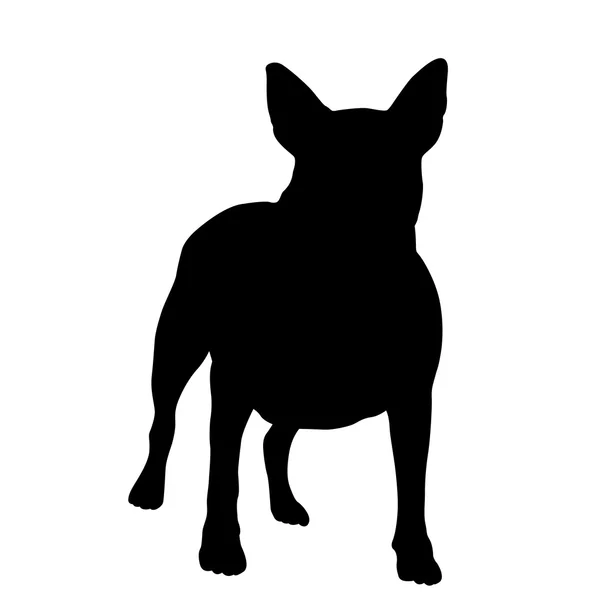 Boğa korkunç köpek siyah siluet — Stok Vektör