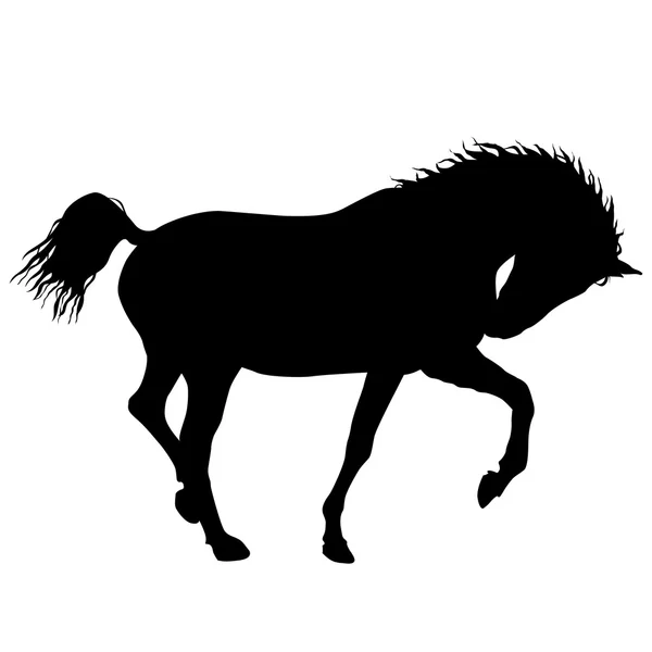 Чорний кінь силует — стоковий вектор