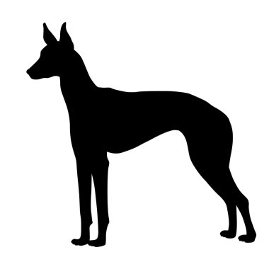 Firavunlar siyah siluet köpek 