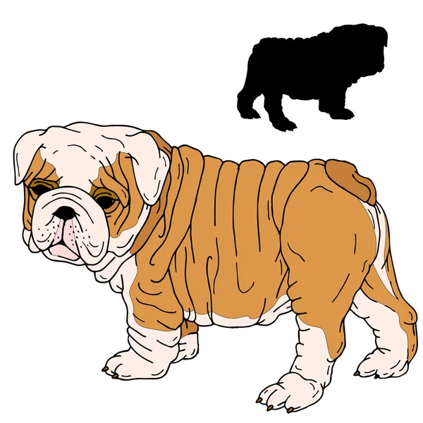 Bulldog cachorro realista silhueta preta — Vetor de Stock
