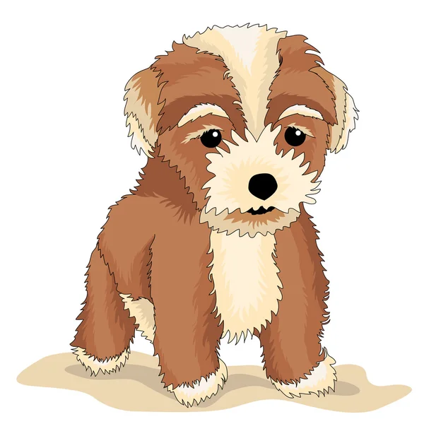 Köpek yavrusu gerçekçi kahverengi — Stok Vektör