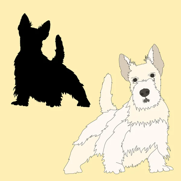 Scottish Terrier perro silueta negra realista — Vector de stock