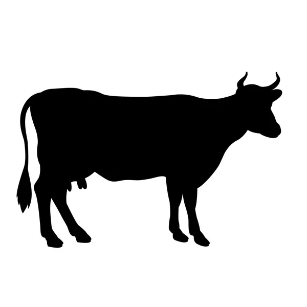 孤立的黑牛剪影 — 图库矢量图片
