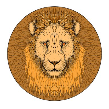 Aslan renk yüz 