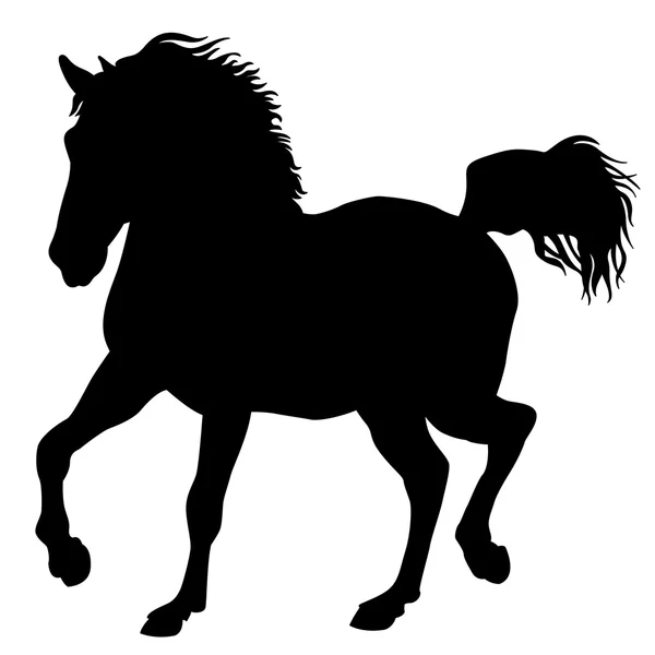 Ilustración de vector de silueta de caballo negro — Vector de stock