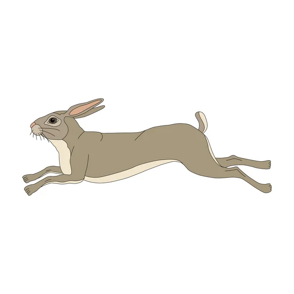 Wild hare running realistic color — Stock Vector