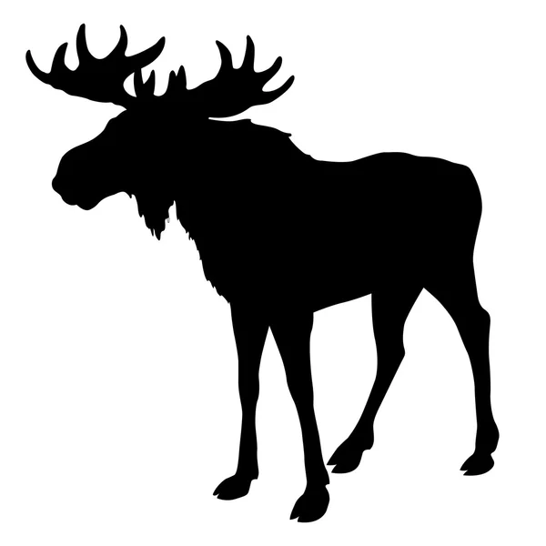 Moose silhouette, black isolated — Stock Vector