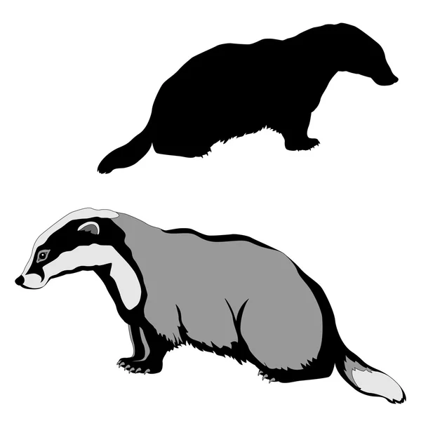 Dierlijke badger zwarte silhouet — Stockvector