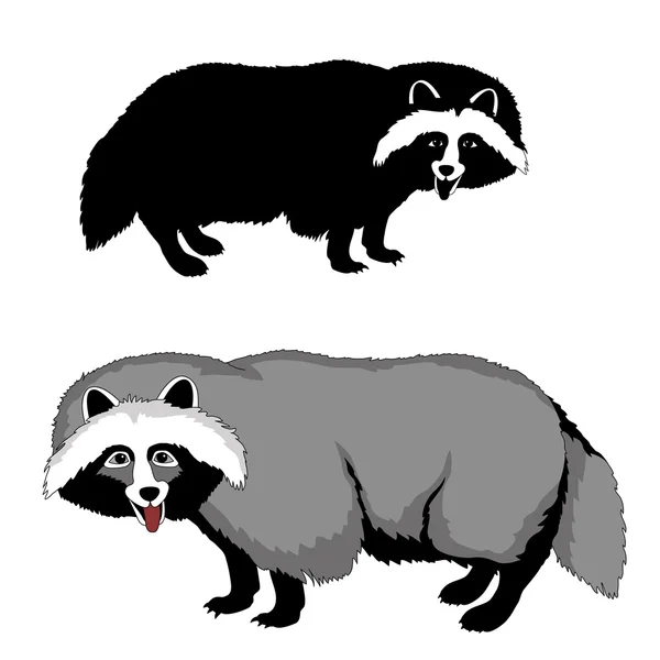 Raccoon dog black silhouette pet realistic vector illustration — Stock Vector