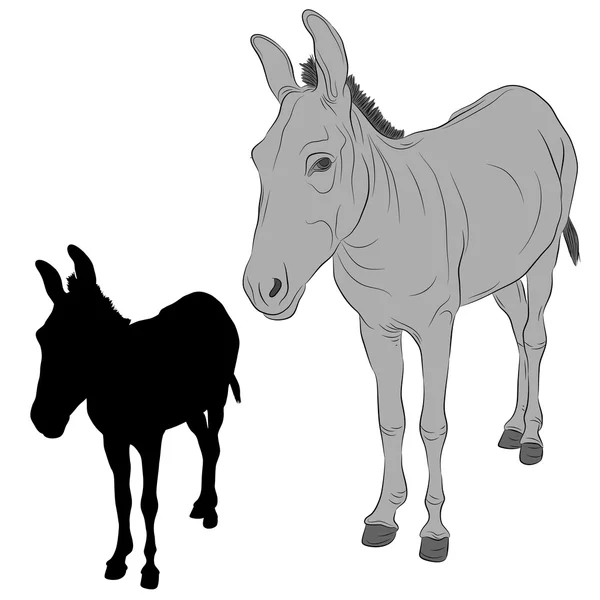 Burro negro silueta realista gris — Archivo Imágenes Vectoriales