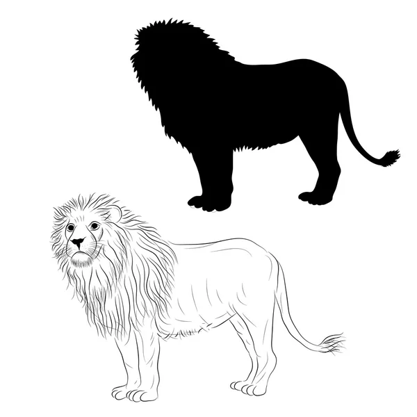 Leão macho em pé esboço silhueta preta —  Vetores de Stock