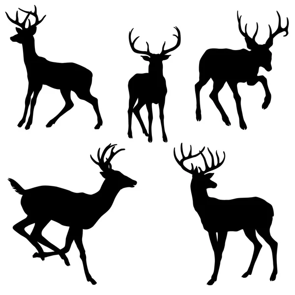 Adult male deer silhouette black  set — Stock Vector