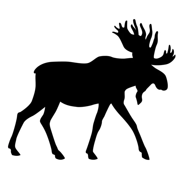 Adult moose go black silhouette — Stock Vector