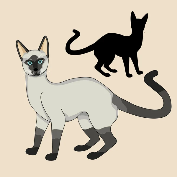 Adulto siamês gato realista preto silhueta conjunto —  Vetores de Stock